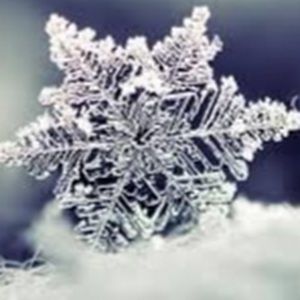 Meet your Posher, Angeliqua